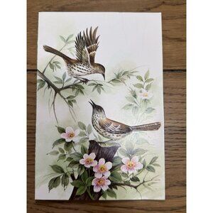 VTG A Sunshine Card Birds Embossed Made In USA Nature Country READ
